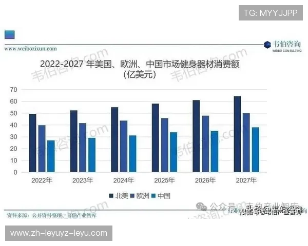 韩国最新健身器材产品及趋势：韩国市场的新兴健身器材及其发展趋势
